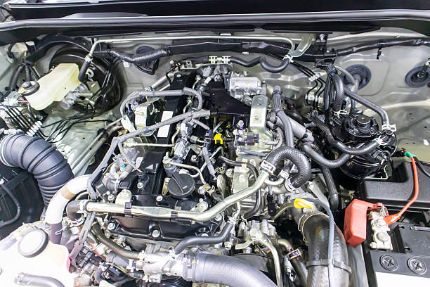 istockphoto 2218030594 612x612