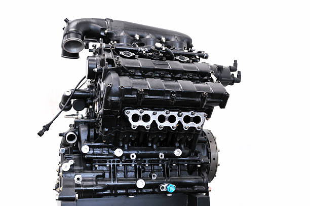 istockphoto 499597879 612x612